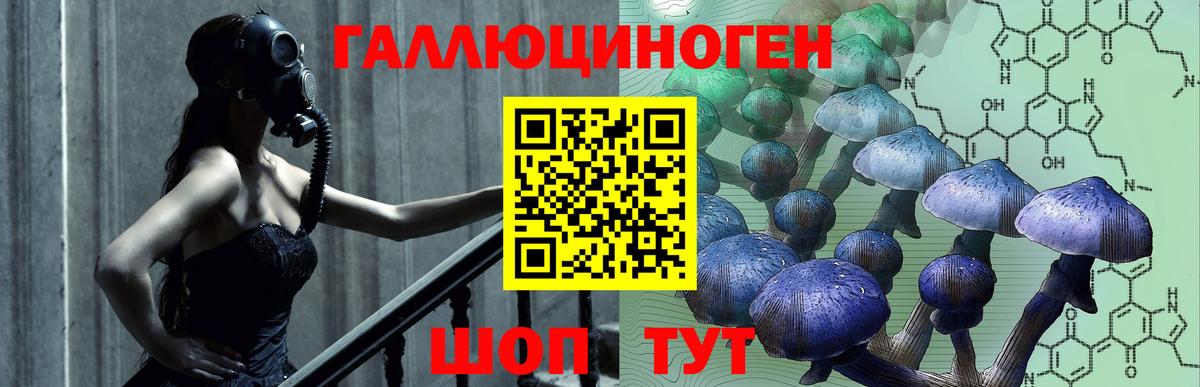 Галлюциногенные грибы GOLDEN TEACHER Ярцево
